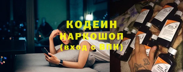 молекула духа Алзамай
