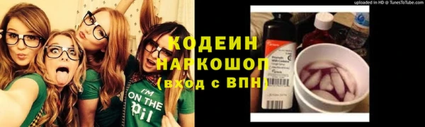 крисы Новозыбков