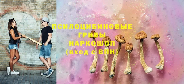 прущий лед Алексин